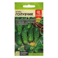 Cucumber seeds 