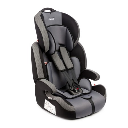 Car Seiger SG517, Group 1/2/3, Gray Color