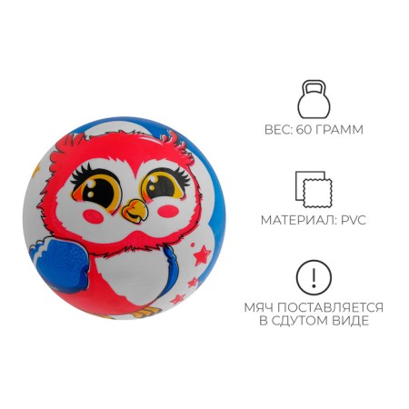 Мяч детский ZABIAKA «Совушка», d=22 см, 60 г-1