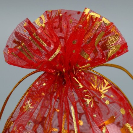 Bag Gift Organza "Happy New Year", 16 x 24 cm +/- 1.5 cm, New Year-4