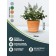 Kashpo for flowers and plants, 12l new terracotta 31x31x24.5cm