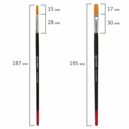 Set of brushes, synthetics, 5 pieces, Brauberg (round, No. 1, 2, 5, flat No. 5, 8), blister-5
