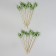 Skewers "Cactus", in a set of 12 pieces