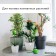 Auto -polywave for indoor plants, 380 ml, green, 2 pcs., Plastic, height 28 cm, Greengo