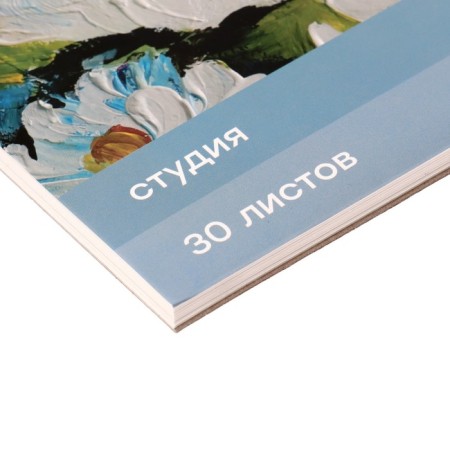 Album for acrylic and gouache 200 x 200 mm, 30 sheets, 180g/m2, "gamma. Studio", gluing-2