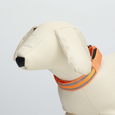 Collar with backlight double strip size S, Osh 35-43 x 2.5 cm, 3 glow modes Orange-2