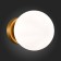 Wall lamp EVOLUCE. SL717.201.01. Acini. 1x40 W, E27, 18x18x22 cm, golden color
