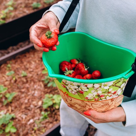 Container for collecting berries, 3 l, "flowering crop", green-11