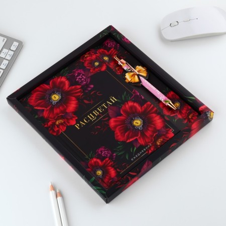 Set "Blave": pen and diary 80 sheets-1