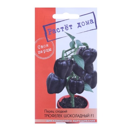 Seeds "Growing at home!" Chocolate Truffle Pepper (dark purple) 5 pcs.