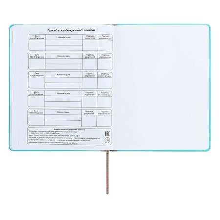 Universal diary for grades 1-11 Excellent, solid cover of artificial leather, silkography, lies, 48 ​​sheets, blue-14