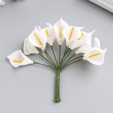 Decor for creativity "White Calles" (set-Book 12 flowers) 10 cm-3