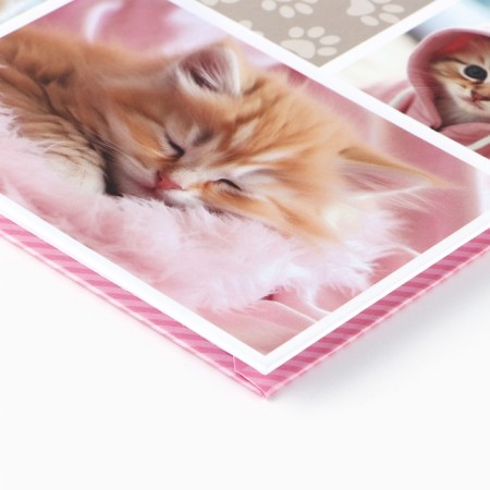 School diary for grade 1-11, in a solid cover, 40 l. "Cat"-1