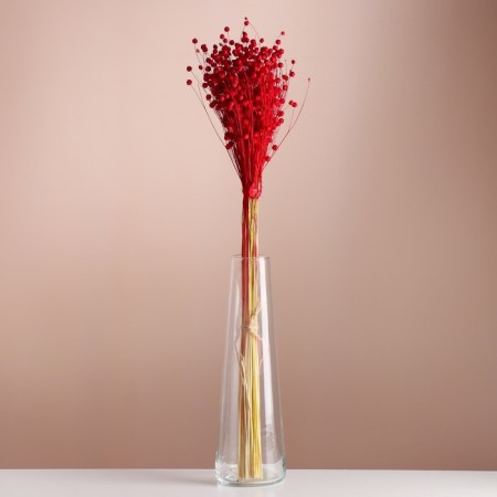 A set of dried flowers "Lenon-debunge", banch length 55-60 (+/- 6 cm), red