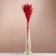 A set of dried flowers "Lenon-debunge", banch length 55-60 (+/- 6 cm), red
