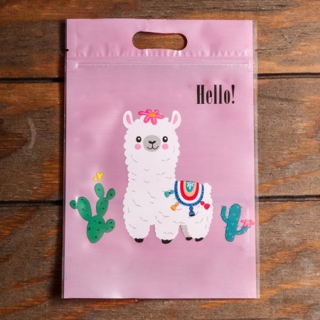 Gift package, with zip-lock fastener, 15 x 22.5 cm, mix-4