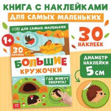 A book with stickers 