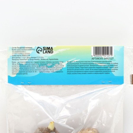 Lilia Asian Kashpo "Cascavel", rr 12/14, 2 pcs, spring 2024-3