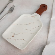 Ceramic dish for the supply 