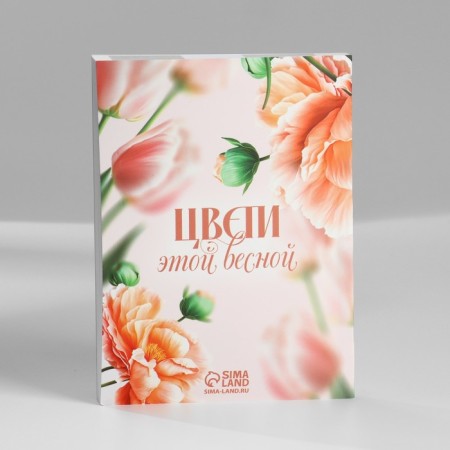Gift set: A6 diary, block with a sticky layer, handle "March 8"-5