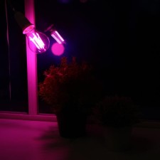 Fitolamp LED REV, E27, A60, 7W, IP20, 220V, 240 °, multi -pointral, philament