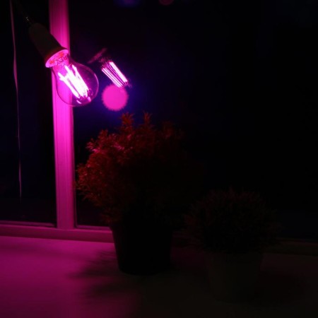 Fitolamp LED REV, E27, A60, 7W, IP20, 220V, 240 °, multi -pointral, philament