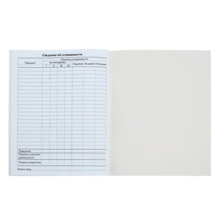 Universal diary for grades 1-11, Gossimvolika of Russia-4, soft cover, 40 sheets-7