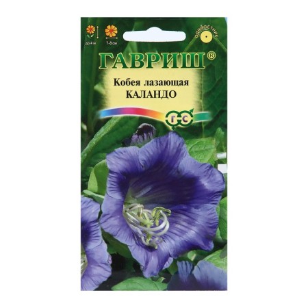 Cobey flowers "Kalando", 5 pcs.-2