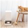 Clever pets feeder Xiaomi Smart Pete Fooder (BHR6143EU), 3.6 l, Wi-Fi