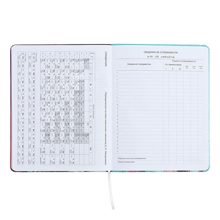 Universal diary for grade 1-11, hard cover, artificial leather, foam rubber, foil embroidery, liesse, 80 g/m2-10