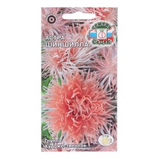 Flower seeds 