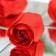 Soap roses, red, set 10 pcs.