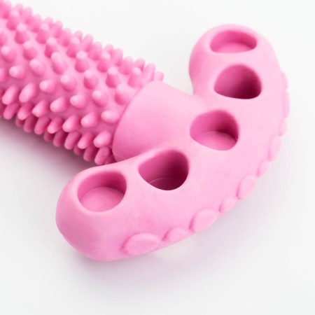Dog toy "Key", TPR, Massage, 12 x 3.5 x 5 cm, pink-1