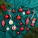Set of jewelry plastic 40 pcs "Winter Joy" white-red