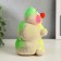 Growing gift Eco -Zenitchik "caterpillar" mix