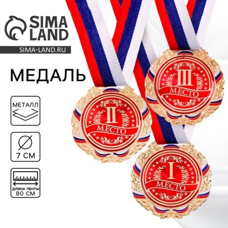 Prize medal 006, D = 7 cm. 2 place. Color: Silver. With a ribbon