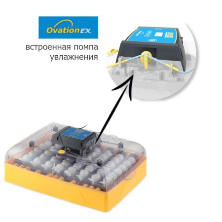 Incubator, 56 eggs, automatic coup, 220 V, ovation-5