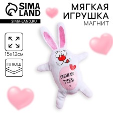 Soft toy-Magnet 