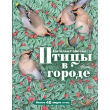 Birds in the city. Gabeeva N.M.