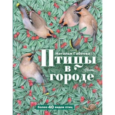 Birds in the city. Gabeeva N.M.