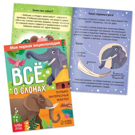 Set 3 B1 "Top Elephant": 3 books, puzzle, soft toy-5