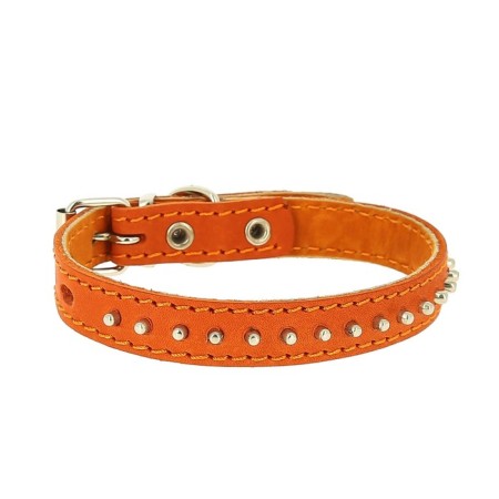 Leather collar "hedgehog" two-layer, Osh 24-30 x 1.5 cm, mix of flowers