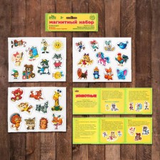 Training magnets 
