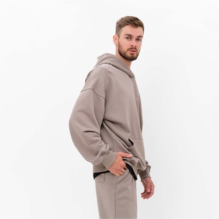 Sweatplane Male (Hoody) Mist Men’s Casual Size 50, gray-beige-2