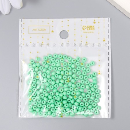 Glass beads 6/0 "gray-green" 15 g-2