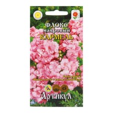 Flowers Flox 