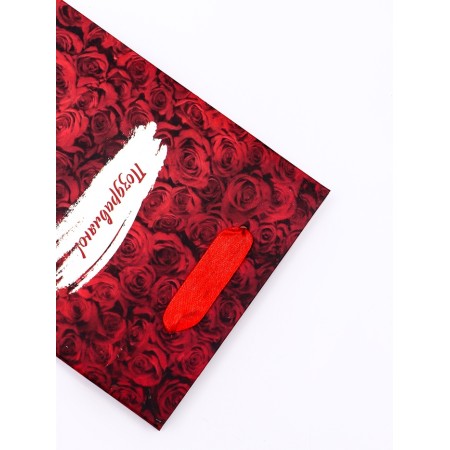 Gift Vertical Gift "Congratulations", S 12 × 15 × 5.5 cm-3