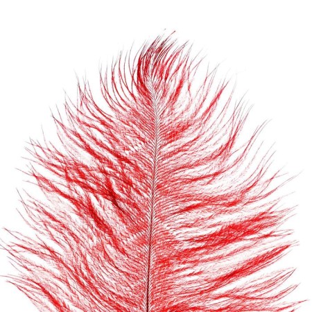 Feather for decor, length: from 45 to 50 cm, burgundy color-1