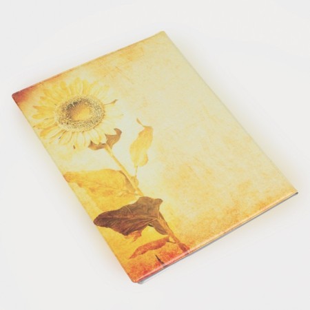 Document folder, 1 set, orange color-1