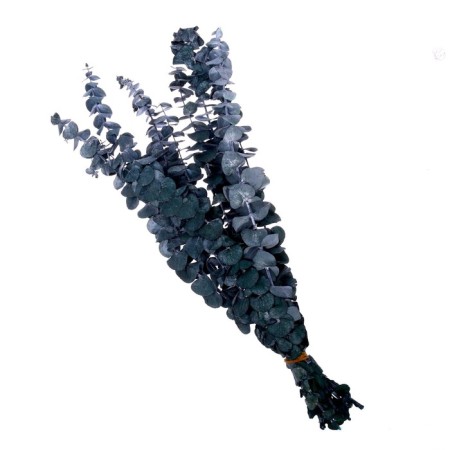 Sukhotzet "eucalyptus tree", blue, 10 pcs. packaged-4